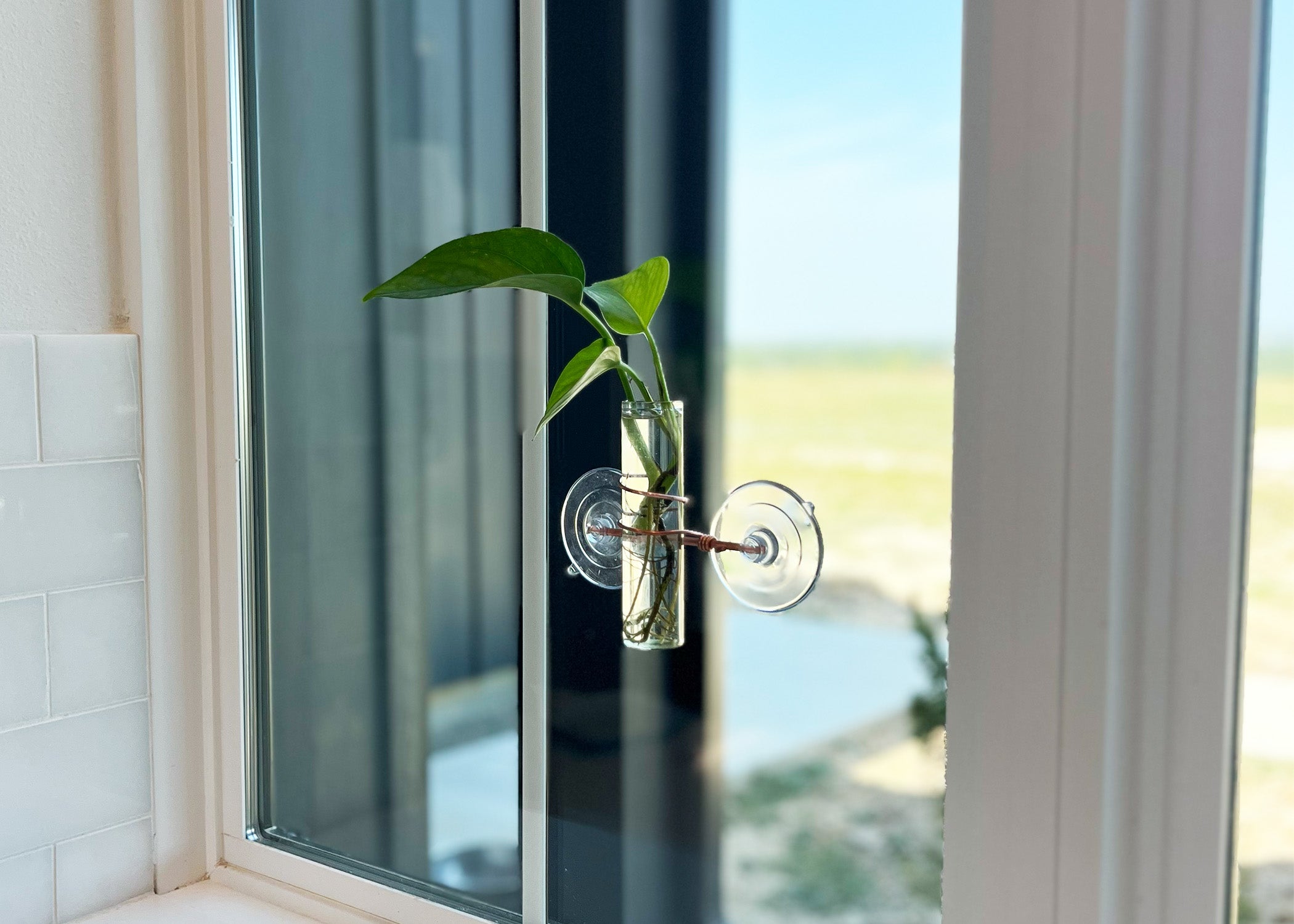 Plant Propagators