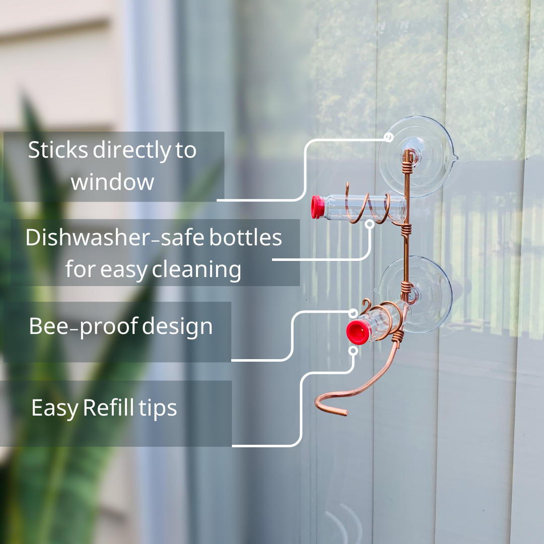 unique gift of window hummingbird feeder for outdoors