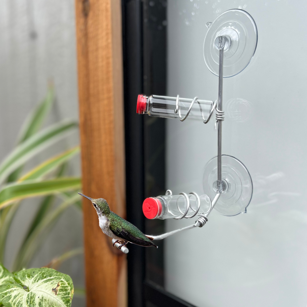 unique gift of window hummingbird feeder for outdoors