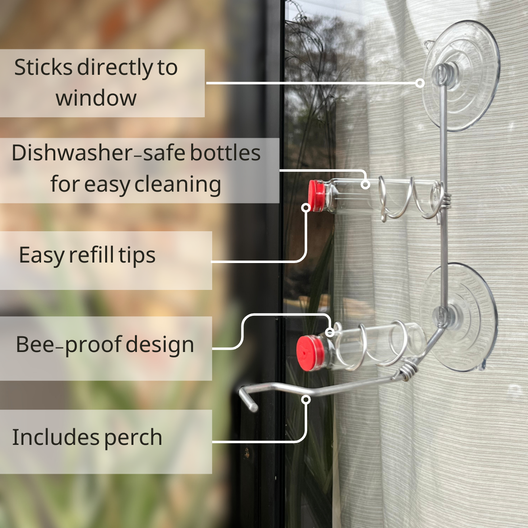 unique gift of window hummingbird feeder for outdoors