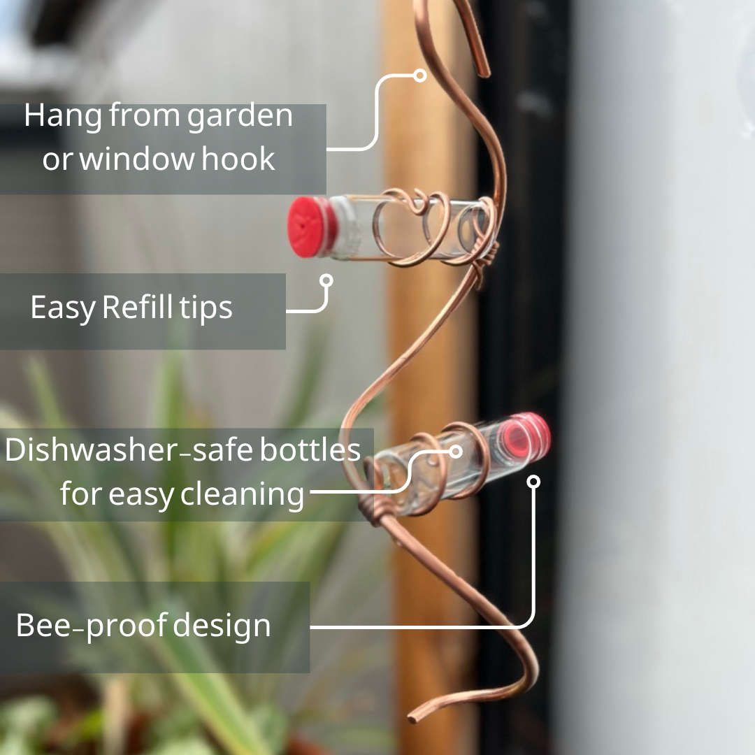 unique gift of window hummingbird feeder for outdoors