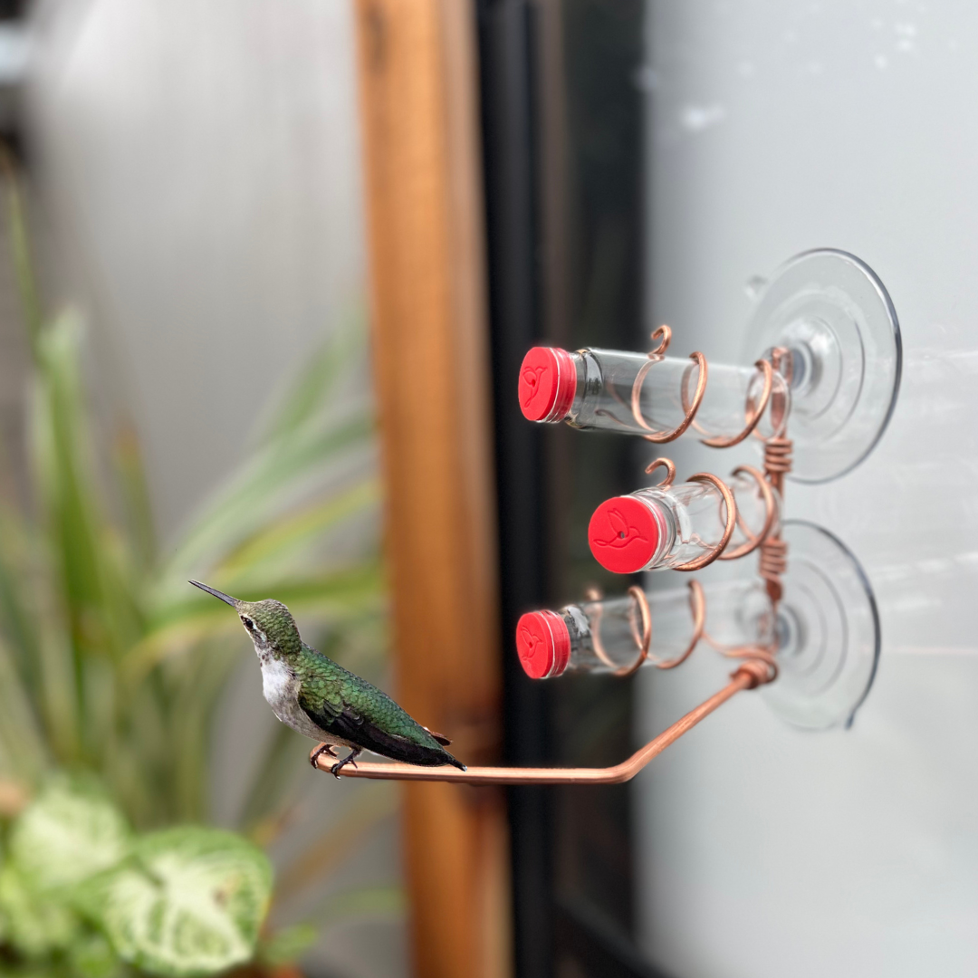 unique gift of window hummingbird feeder for outdoors