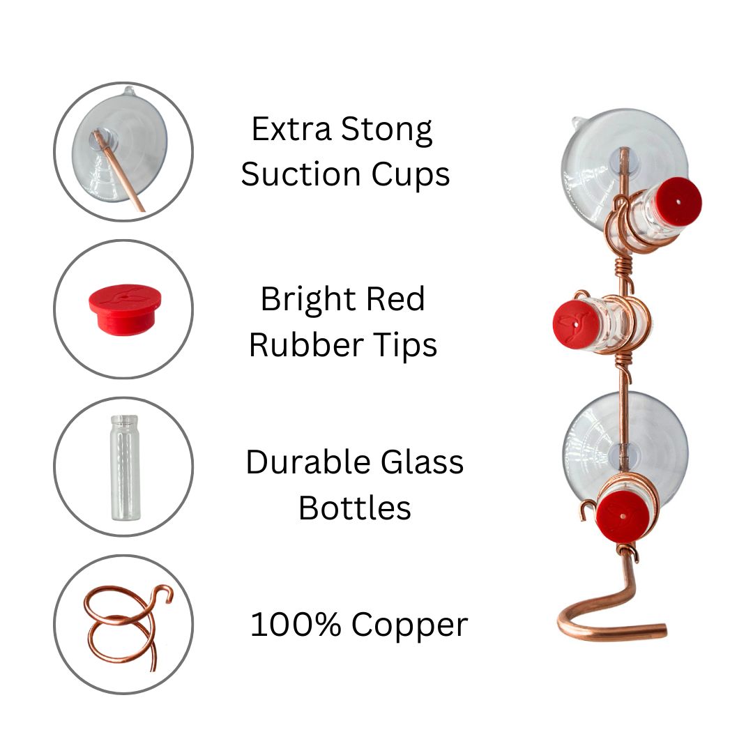 unique gift of window hummingbird feeder for outdoors