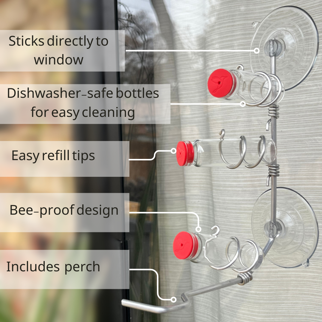 unique gift of window hummingbird feeder for outdoors
