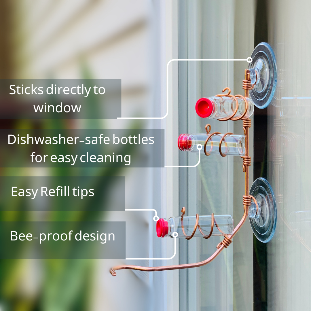 unique gift of window hummingbird feeder for outdoors