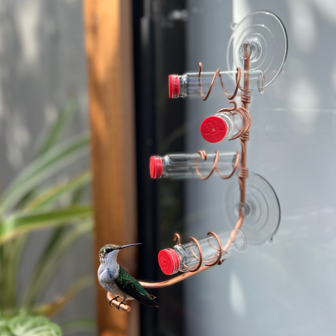 unique gift of window hummingbird feeder for outdoors