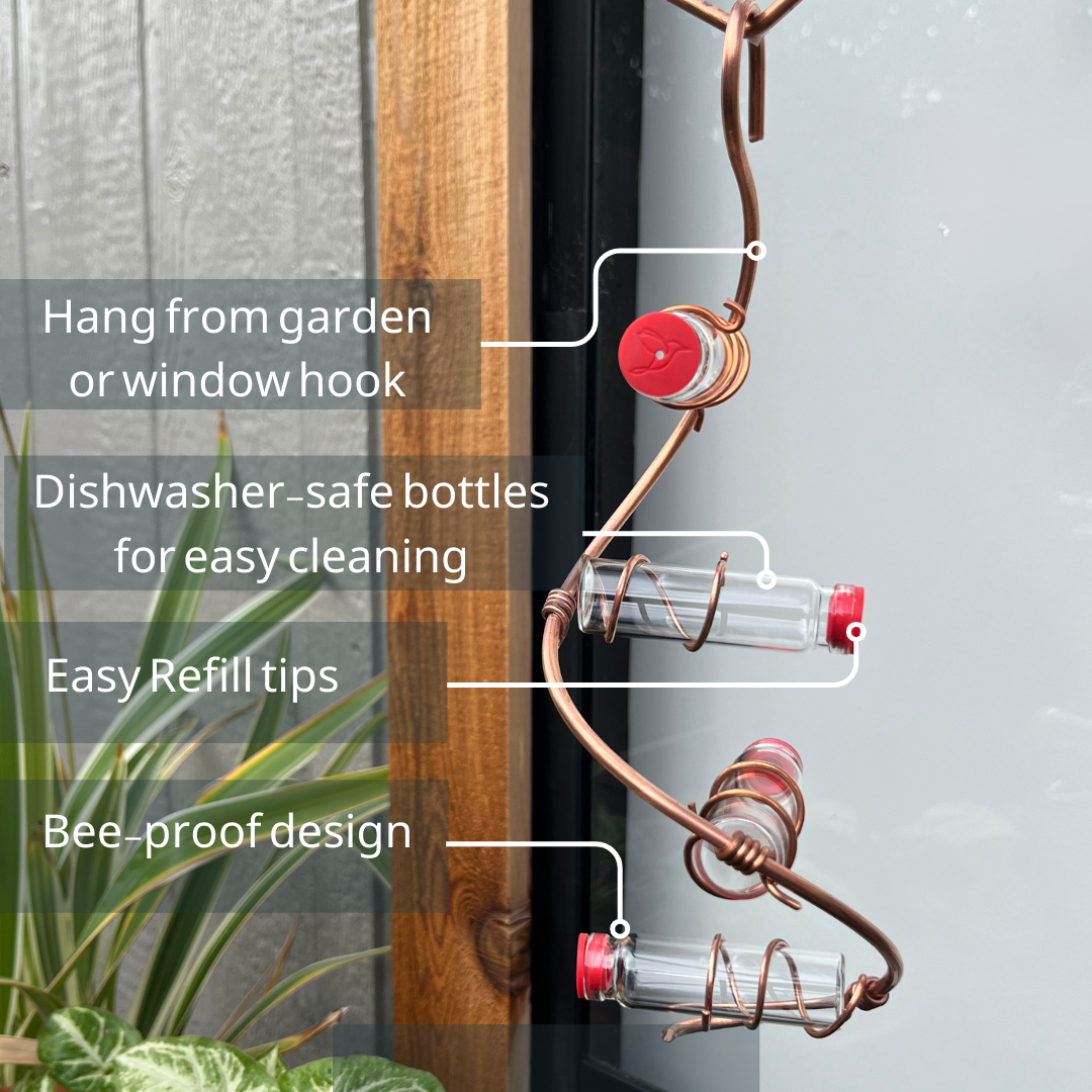 unique gift of window hummingbird feeder for outdoors