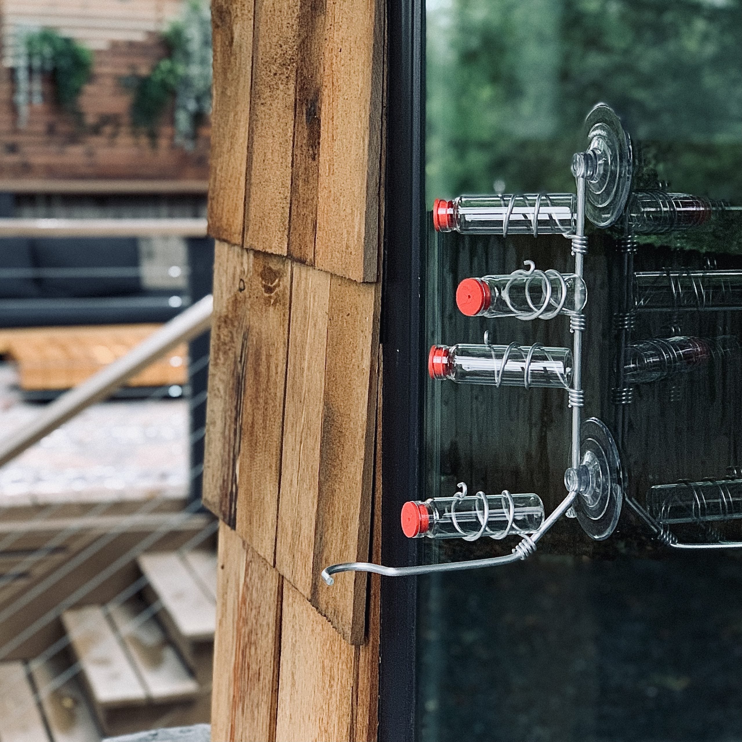 unique gift of window hummingbird feeder for outdoors