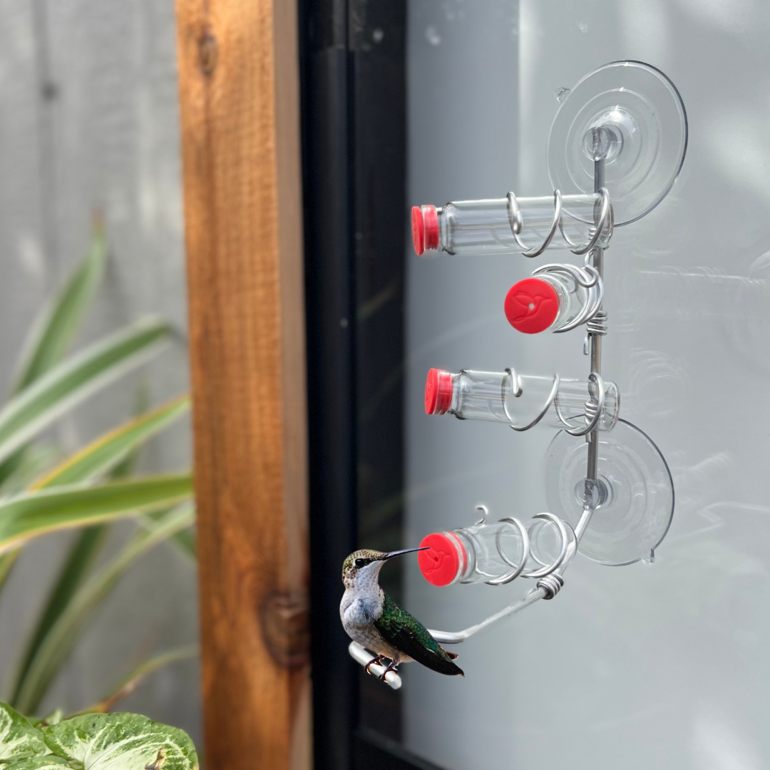 unique gift of window hummingbird feeder for outdoors