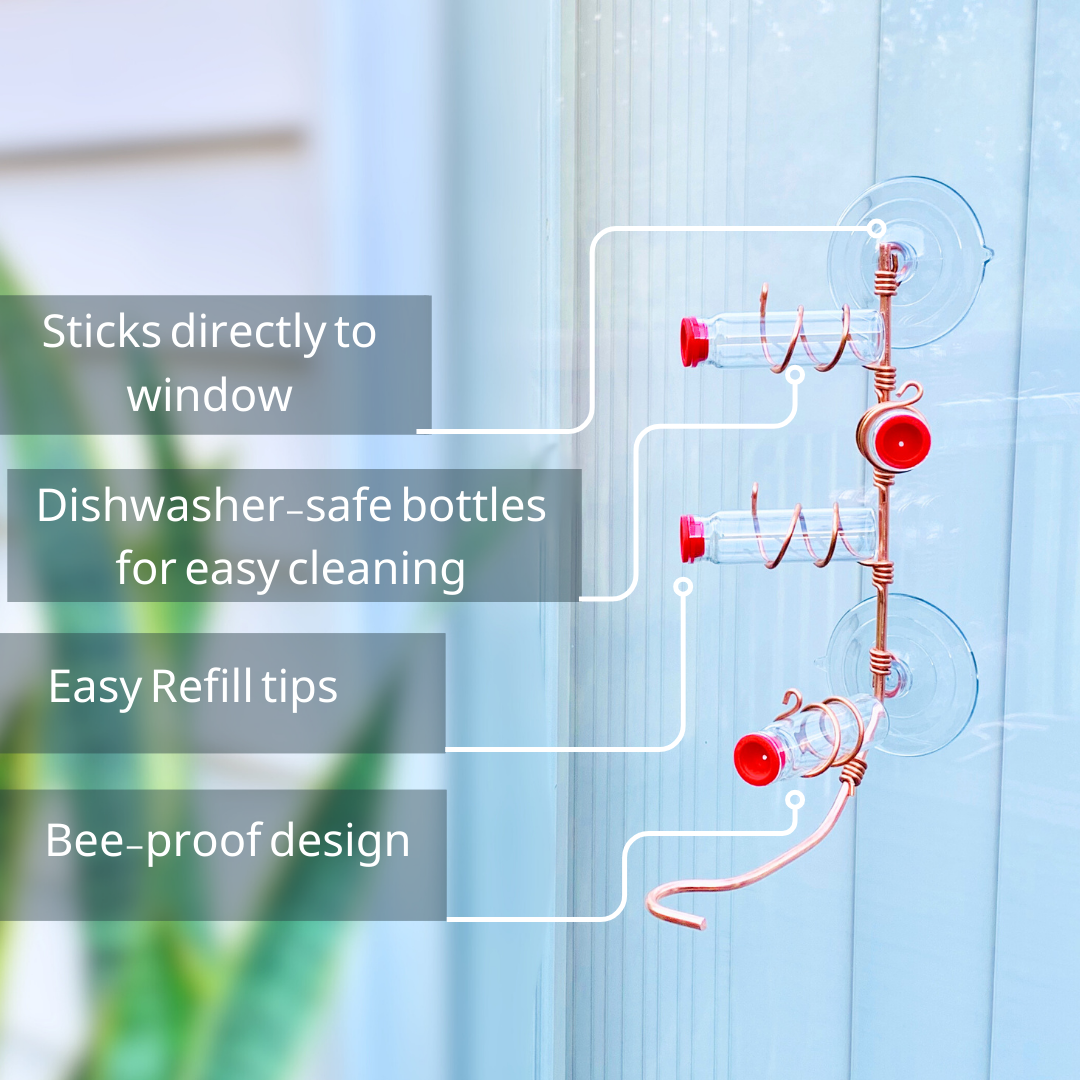 unique gift of window hummingbird feeder for outdoors