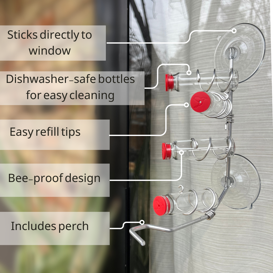 unique gift of window hummingbird feeder for outdoors