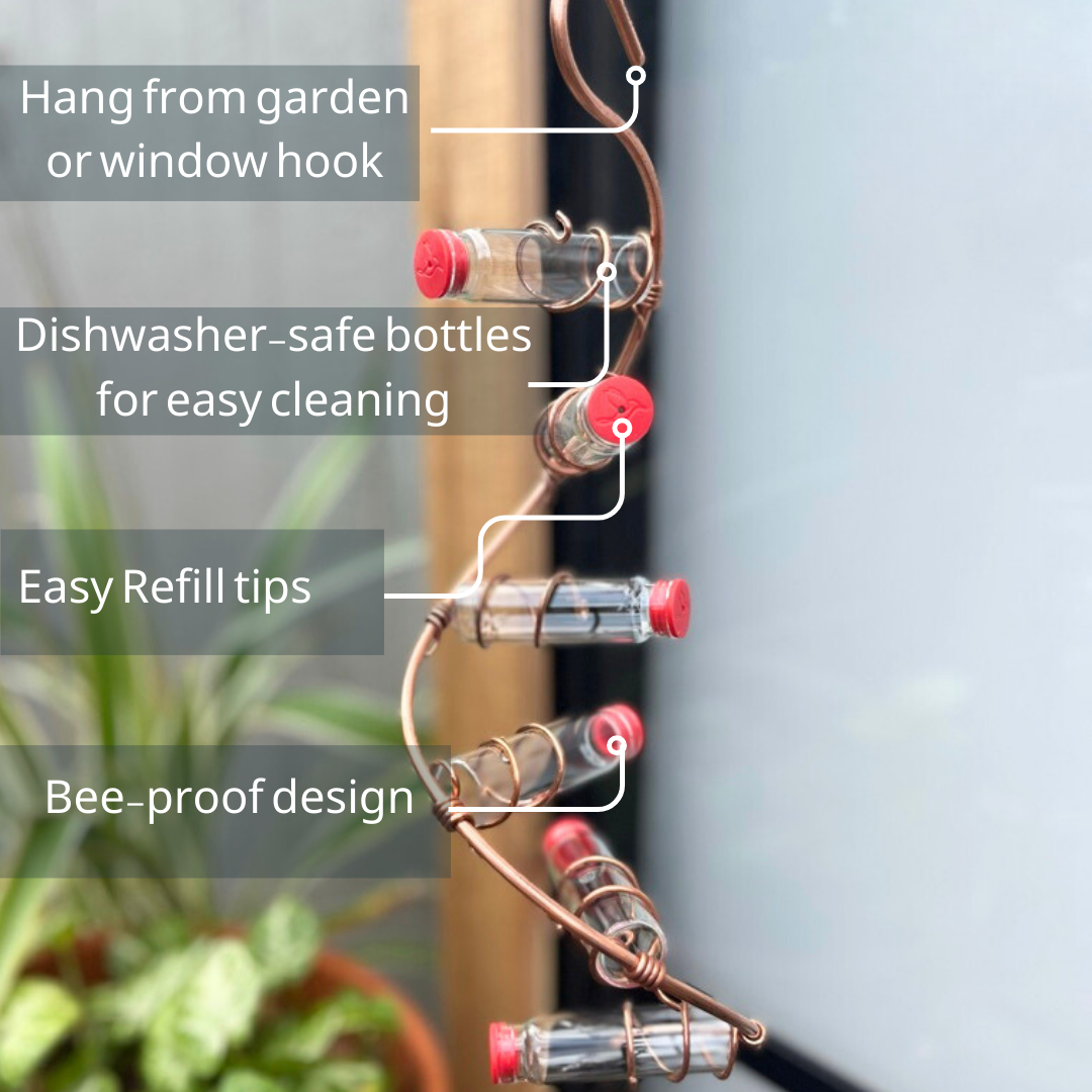 unique gift of window hummingbird feeder for outdoors