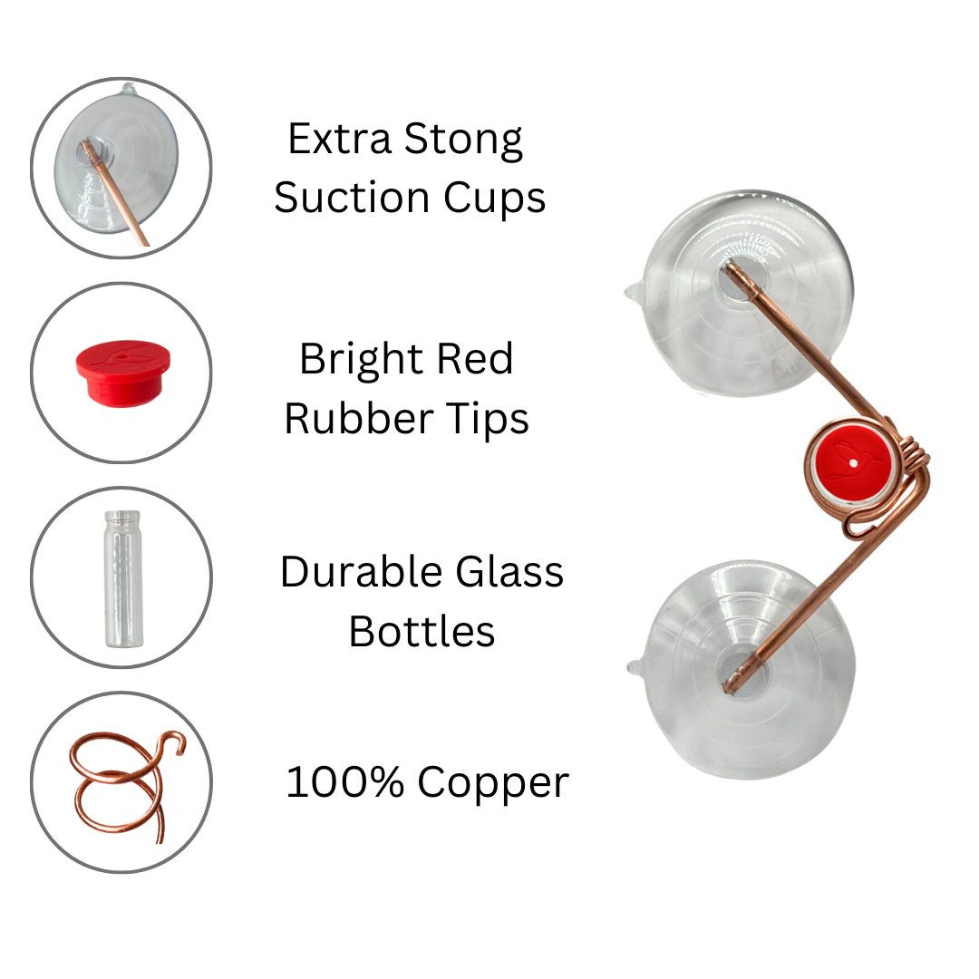 unique gift of window hummingbird feeder for outdoors