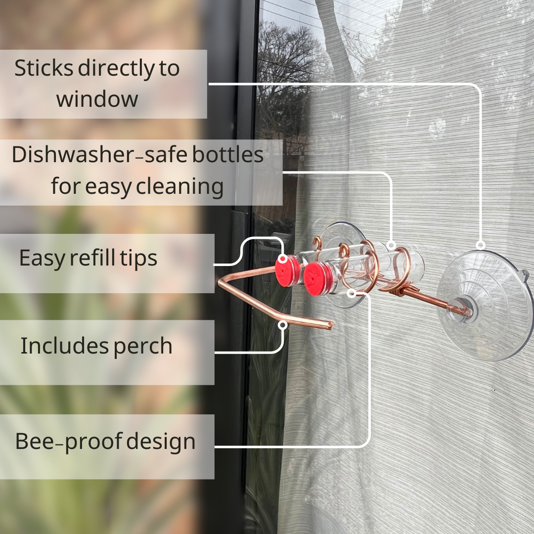 unique gift of window hummingbird feeder for outdoors