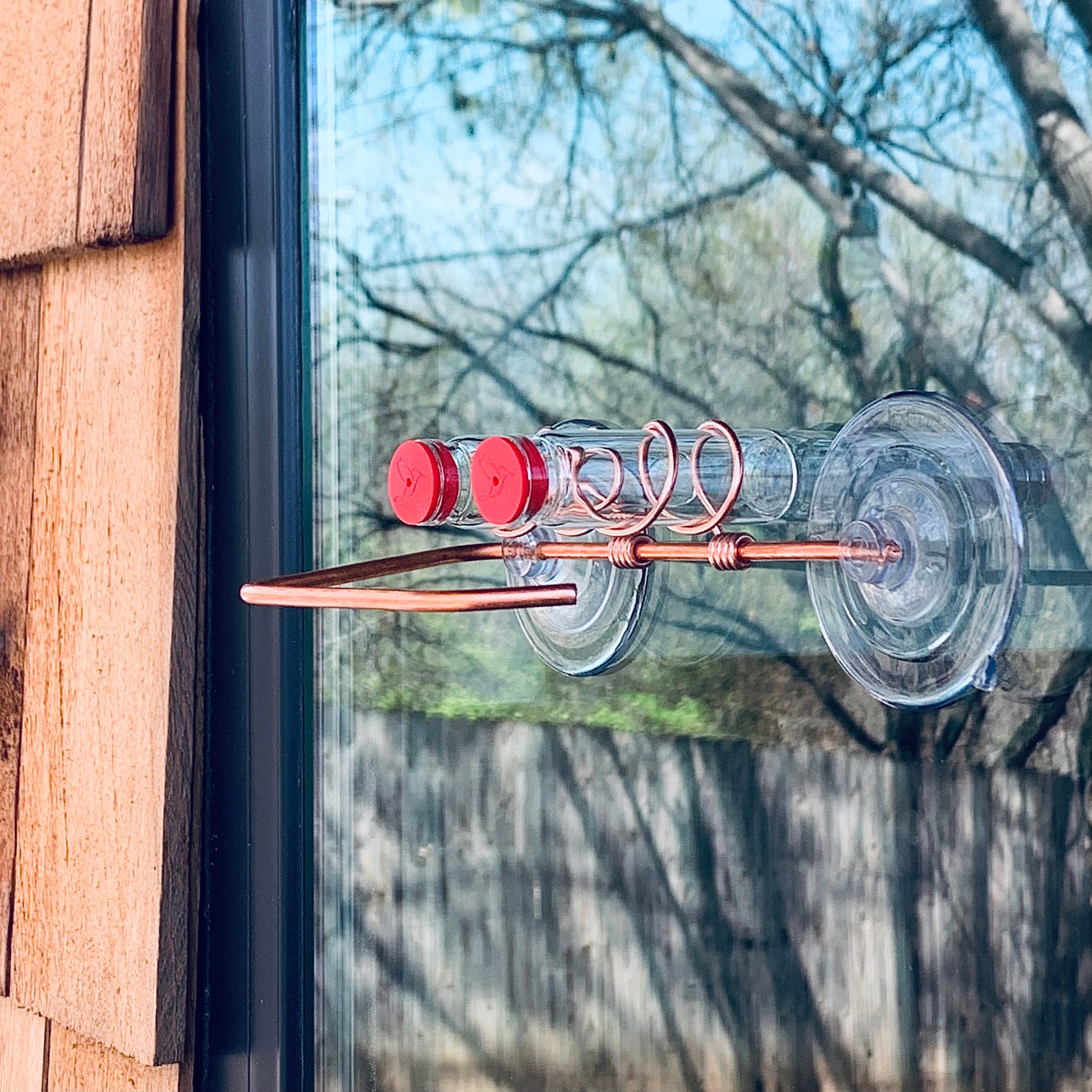 unique gift of window hummingbird feeder for outdoors