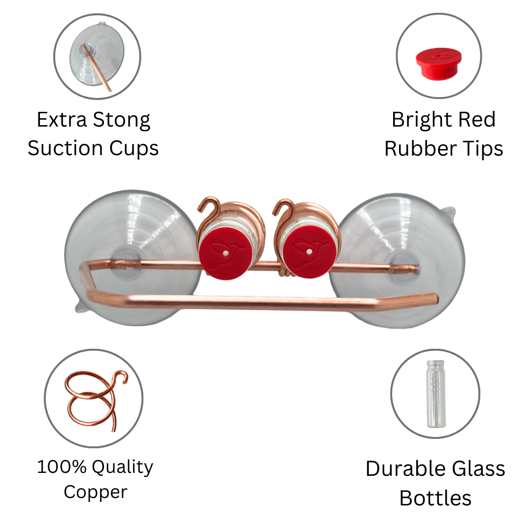 unique gift of window hummingbird feeder for outdoors