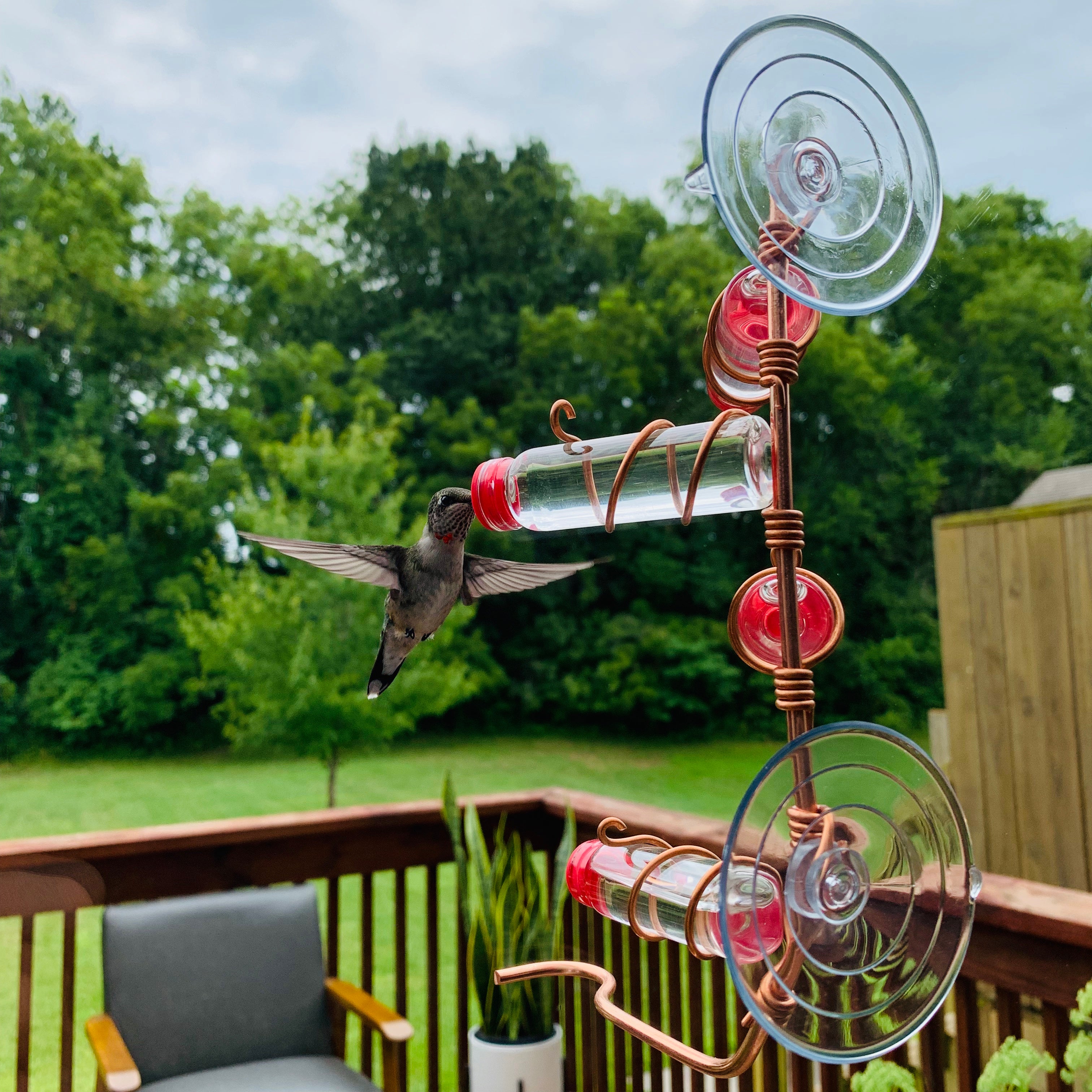 unique gift of window hummingbird feeder for outdoors