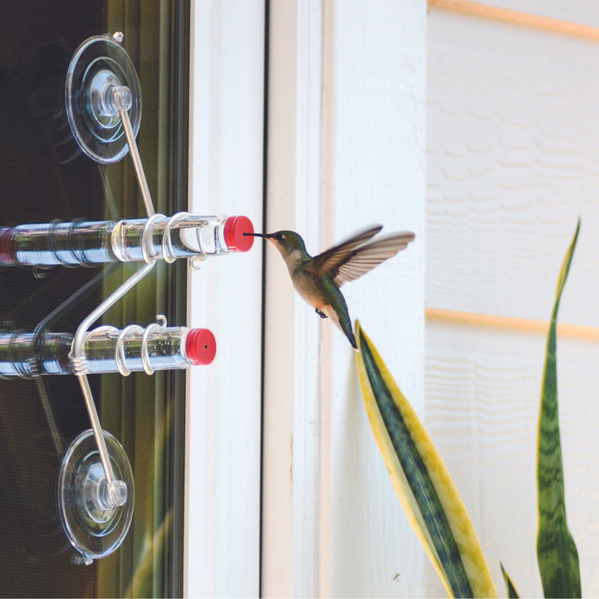 unique gift of window hummingbird feeder for outdoors