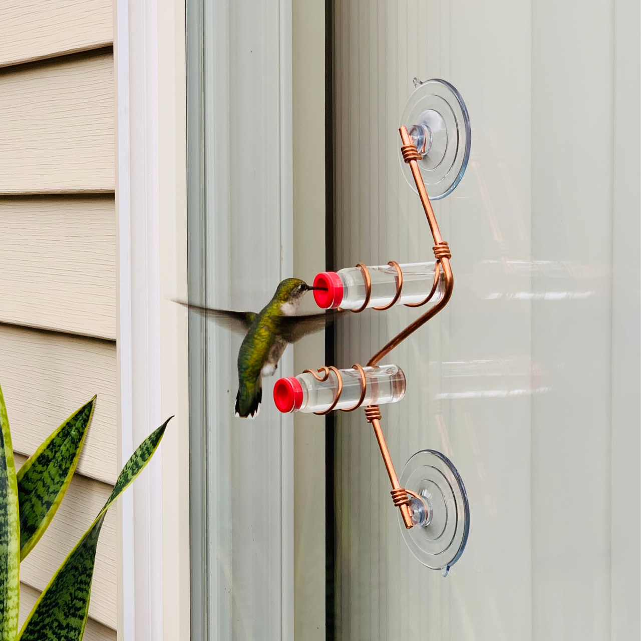 unique gift of window hummingbird feeder for outdoors