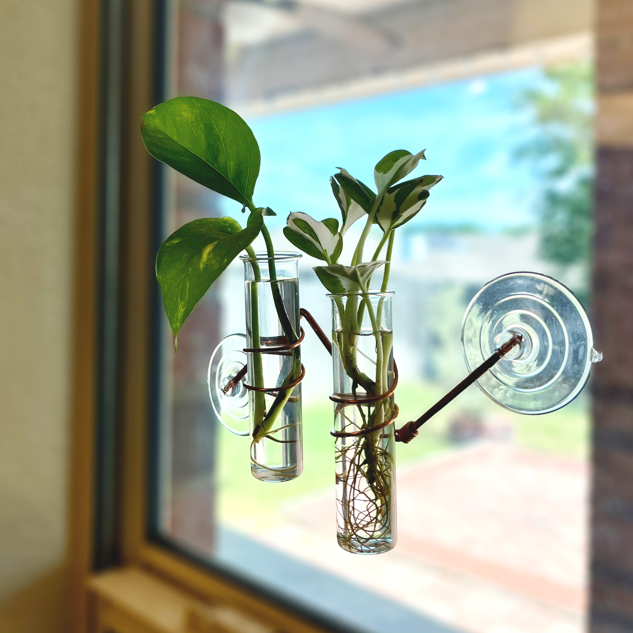 The Hazel Window Plant Propagator
