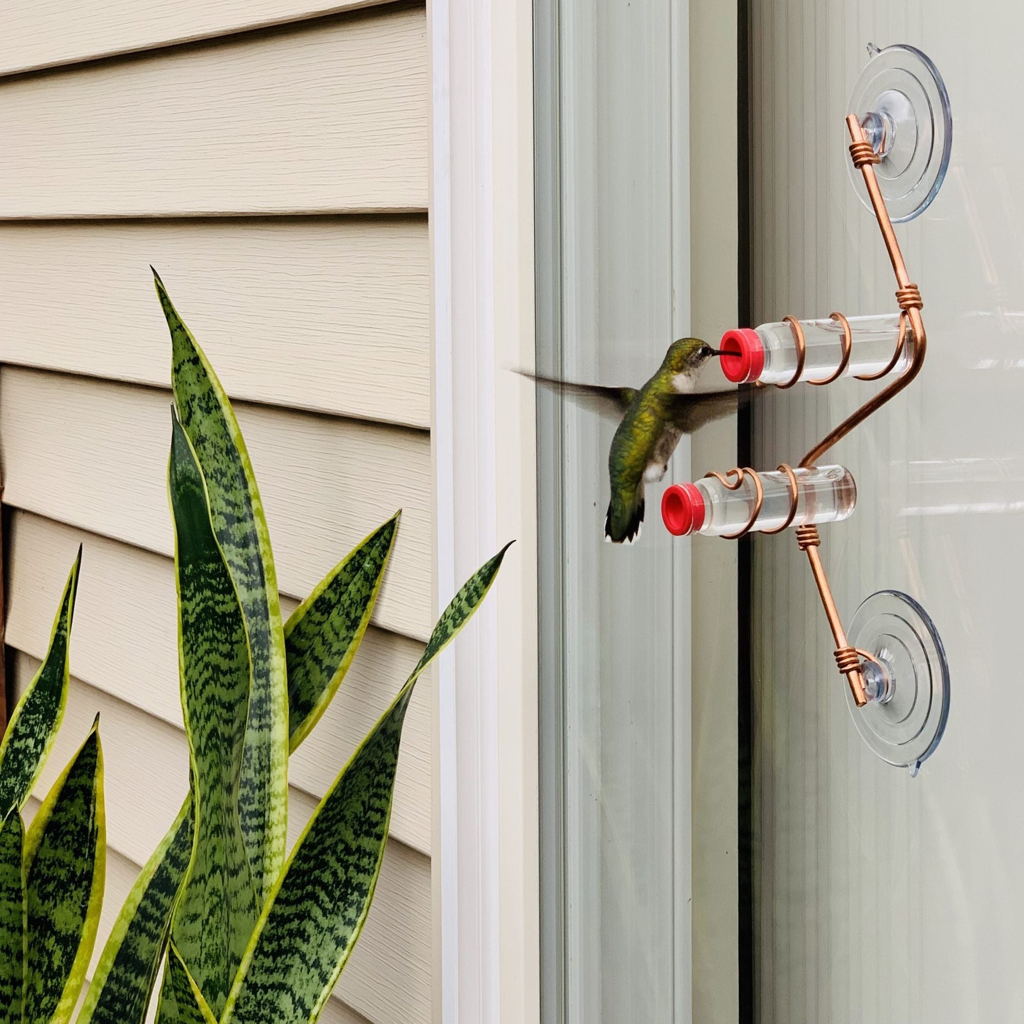 unique gift of window hummingbird feeder for outdoors