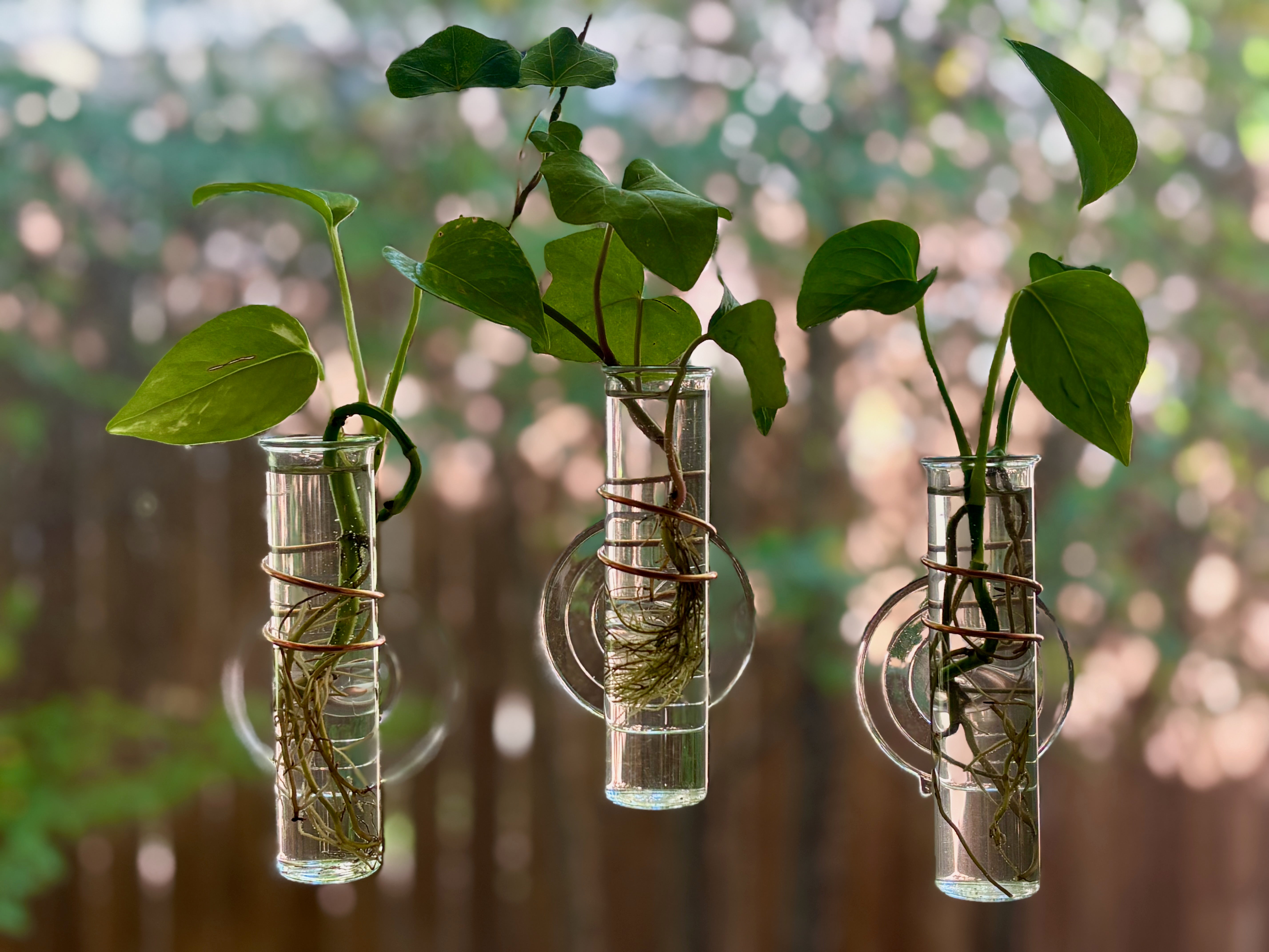 The Little Window Propagator (Three Bottles)