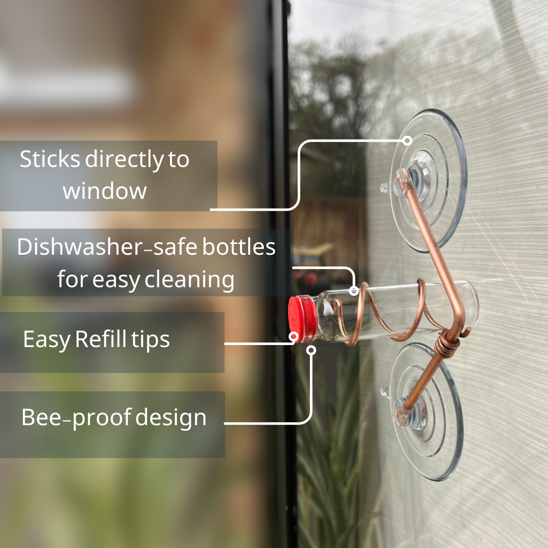 unique gift of window hummingbird feeder for outdoors