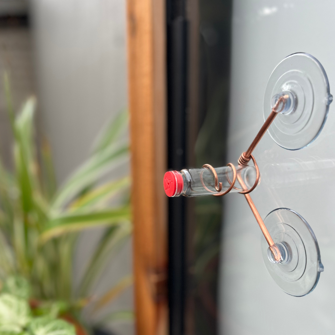 unique gift of window hummingbird feeder for outdoors