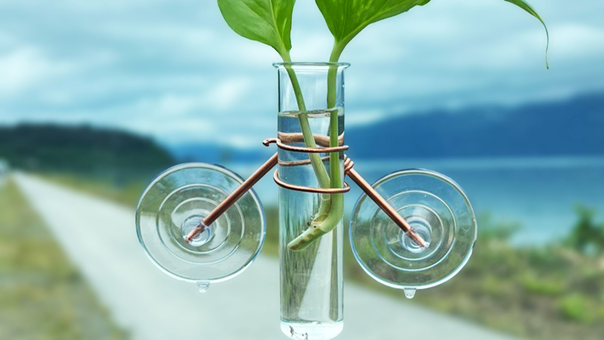 The Hazel Mini Window Plant Propagator