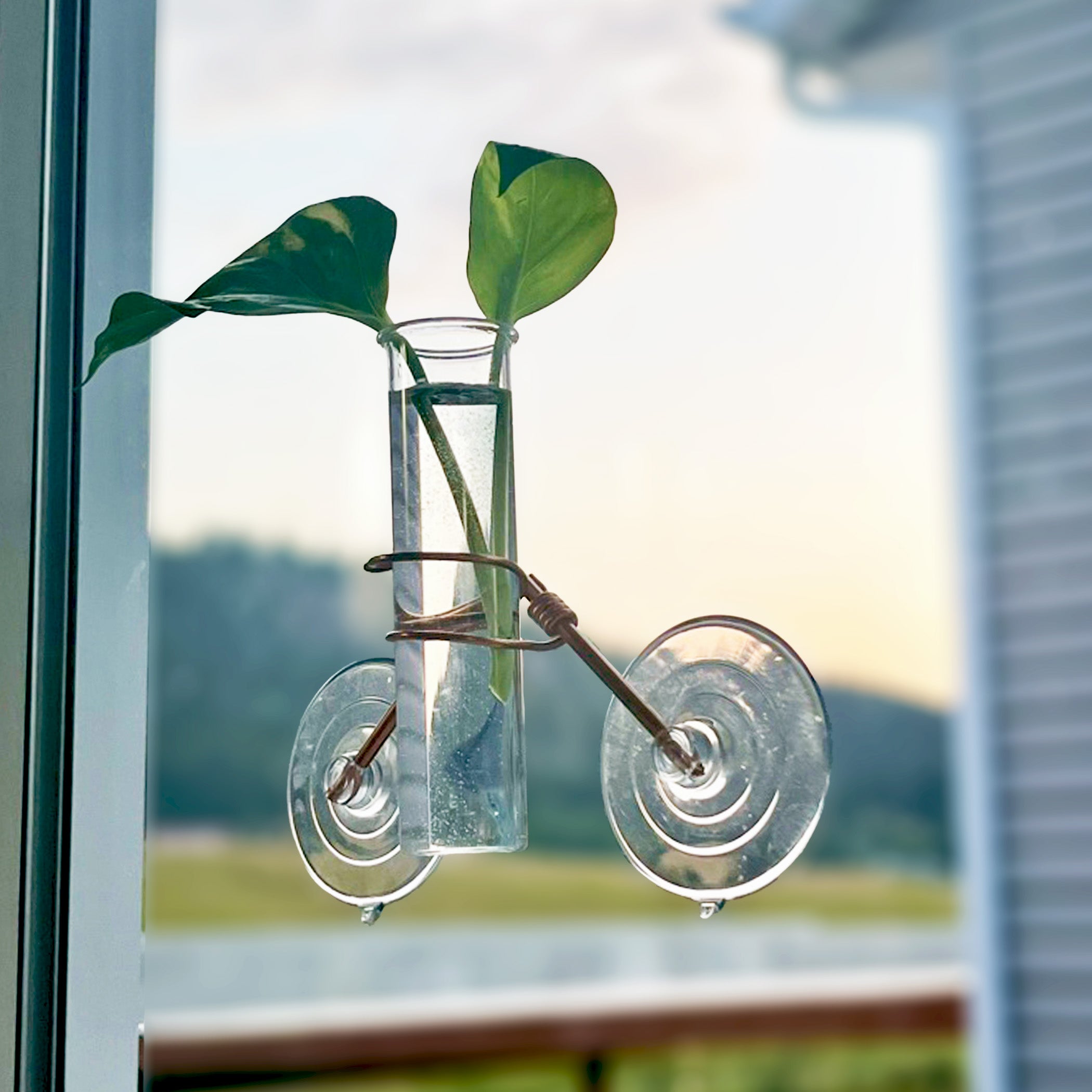 The Hazel Mini Window Plant Propagator