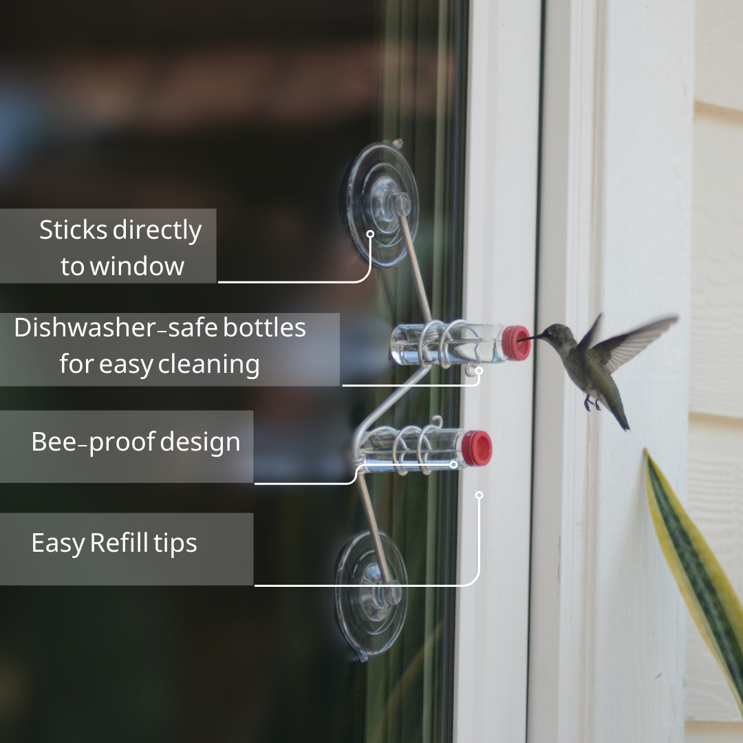 unique gift of window hummingbird feeder for outdoors