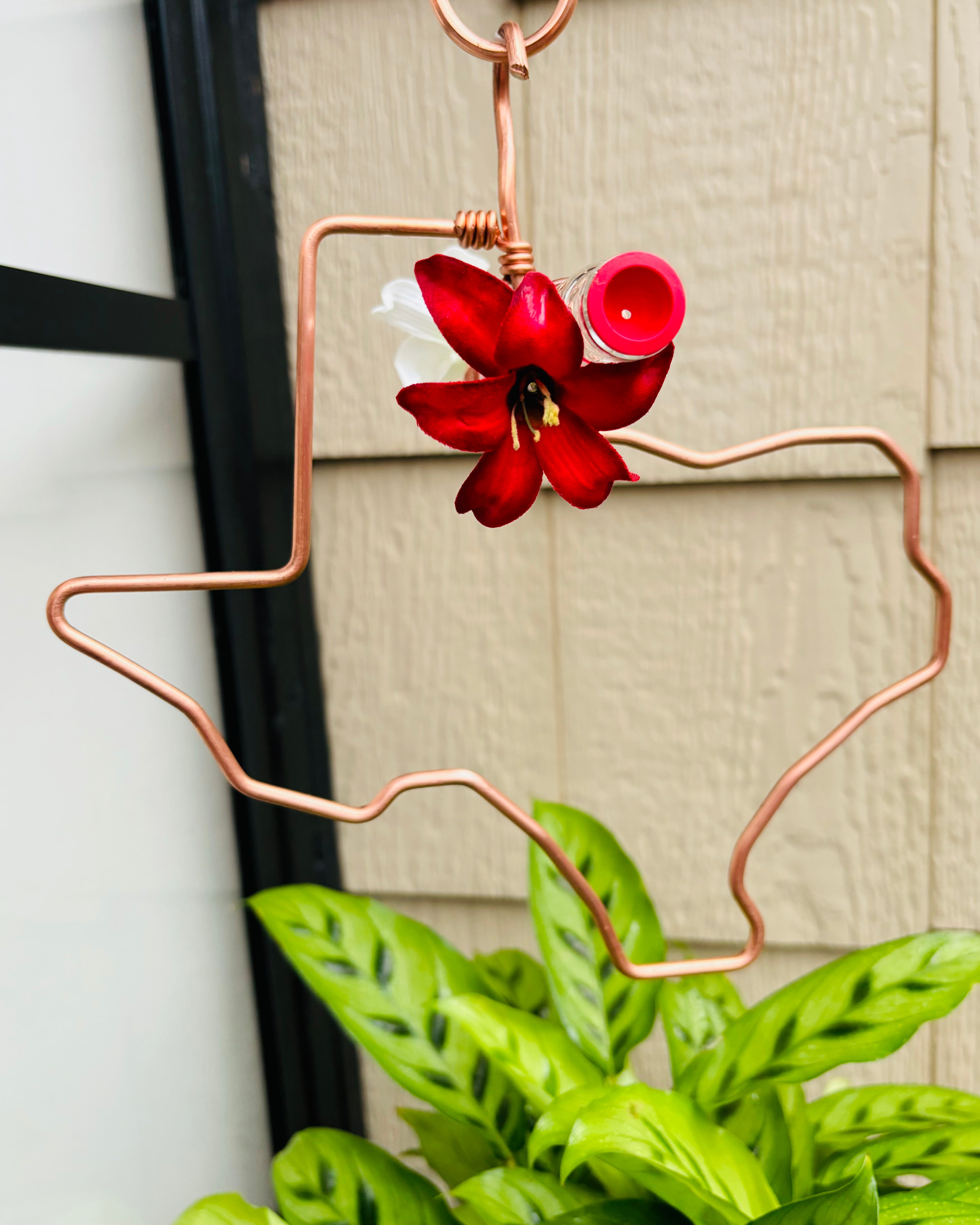 unique gift of window hummingbird feeder for outdoors