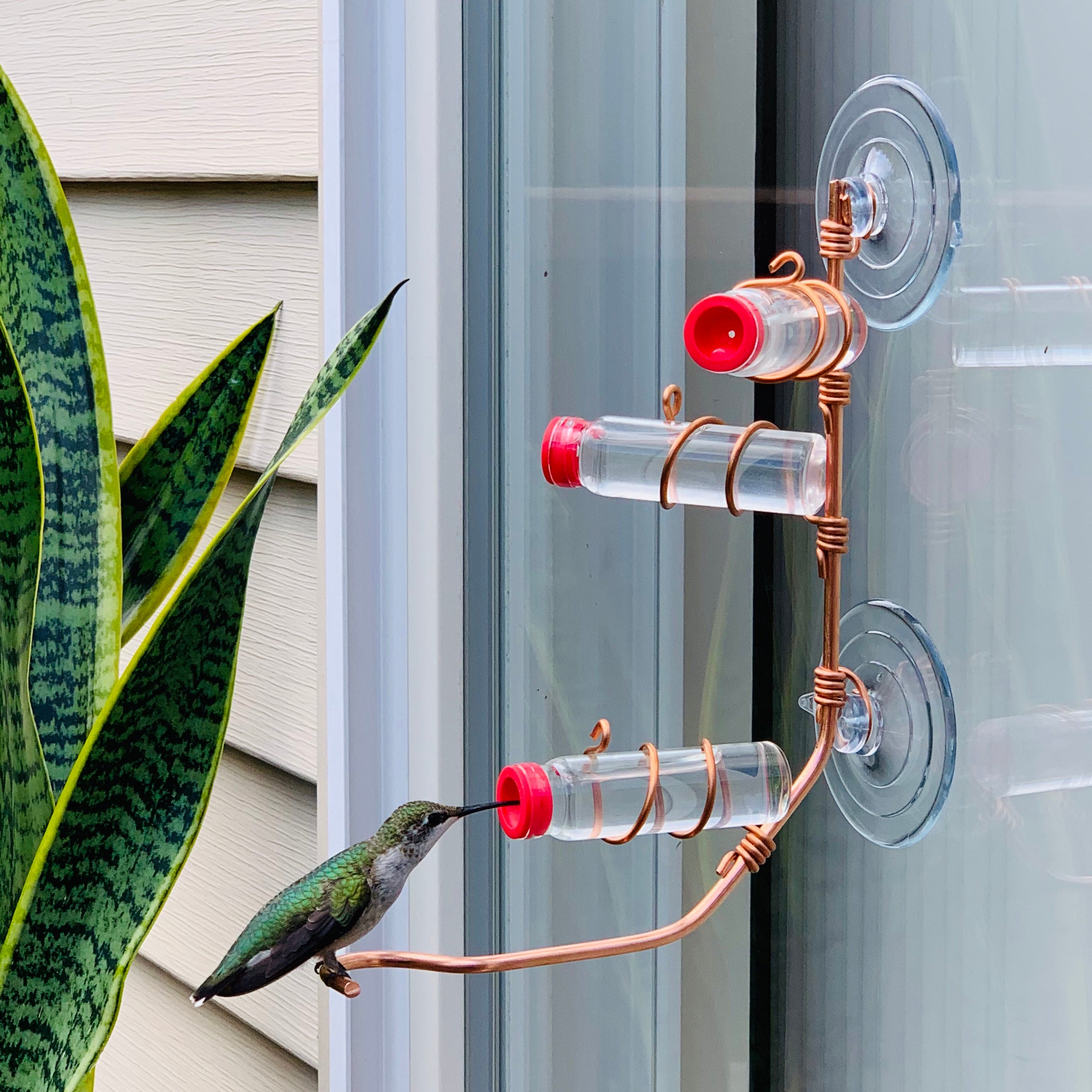 unique gift of window hummingbird feeder for outdoors