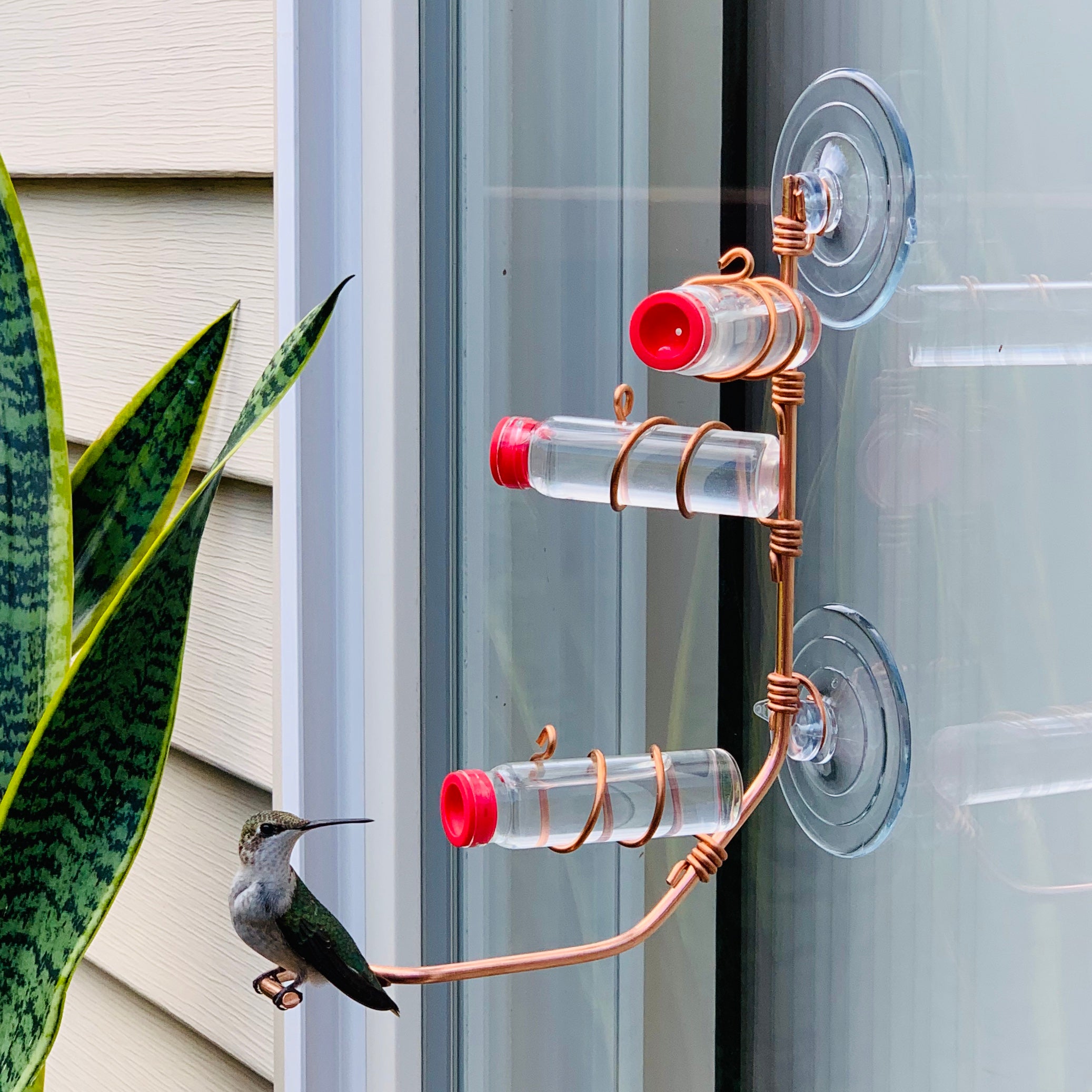 unique gift of window hummingbird feeder for outdoors