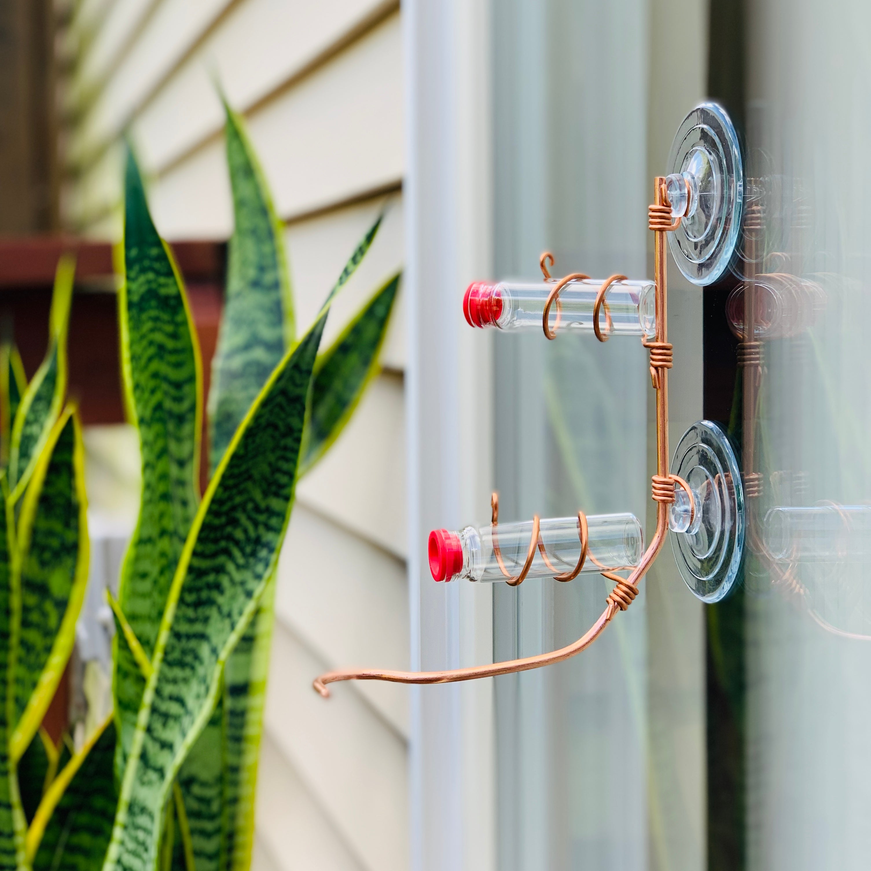 unique gift of window hummingbird feeder for outdoors
