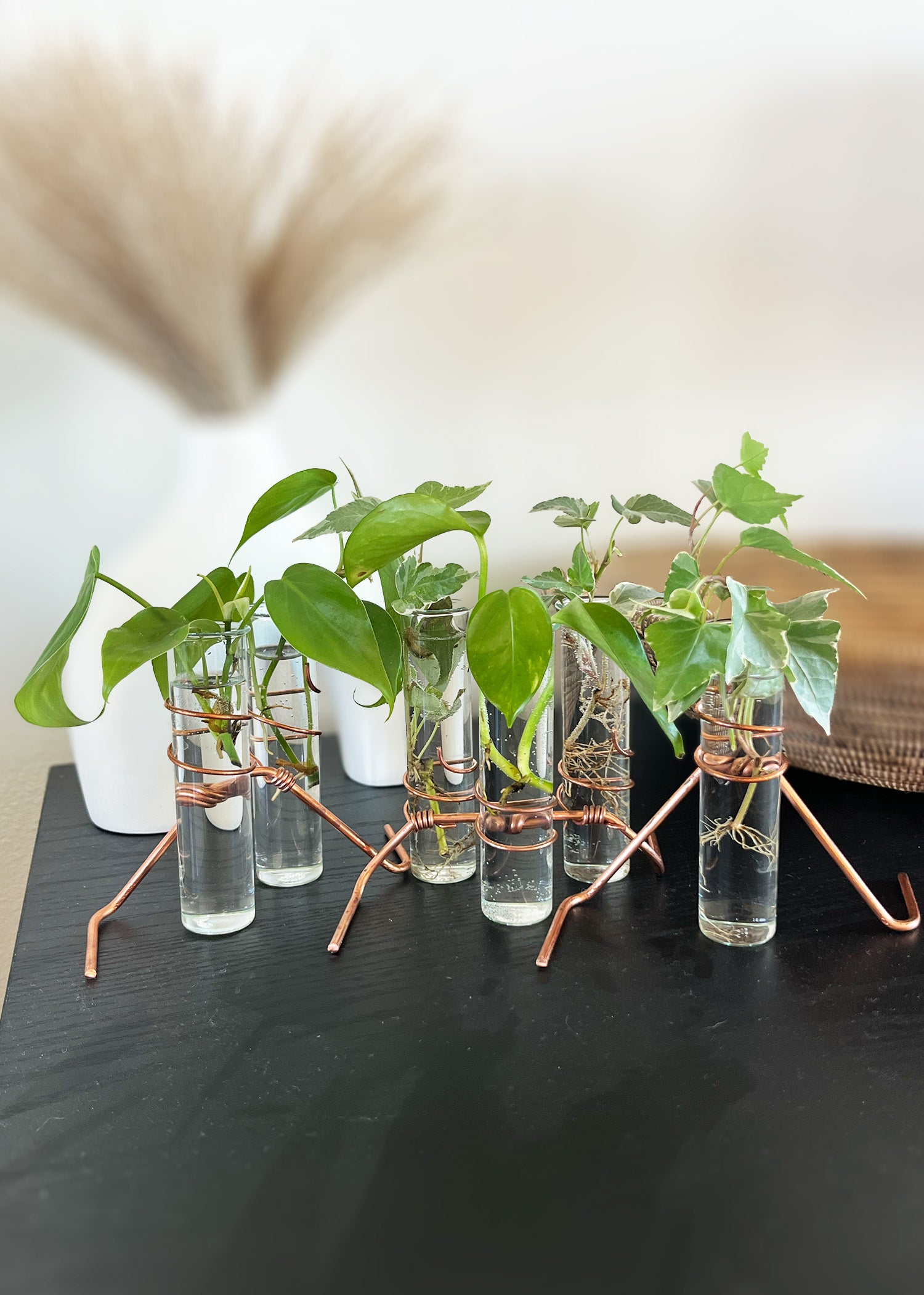 The Emma Plant Propagator (2 Stem)