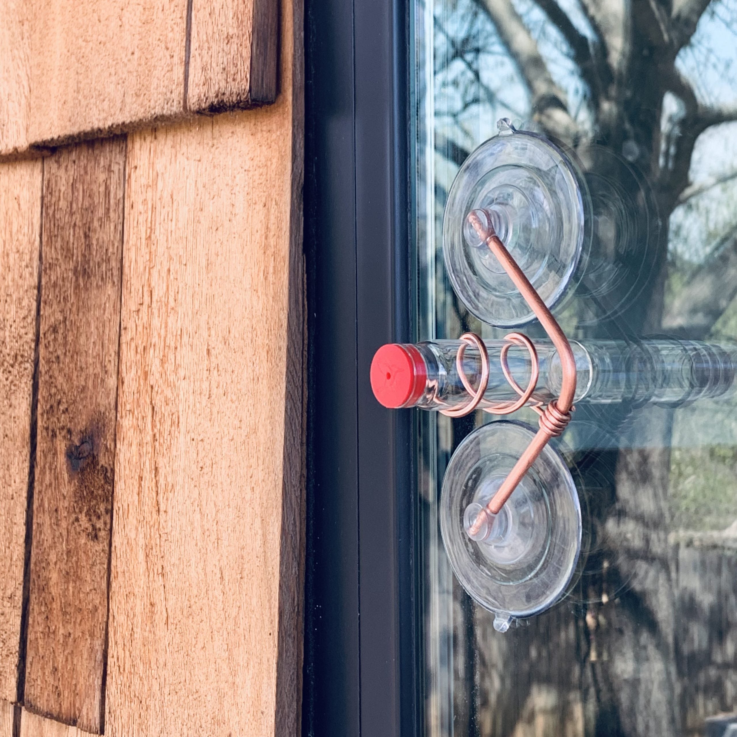 unique gift of window hummingbird feeder for outdoors
