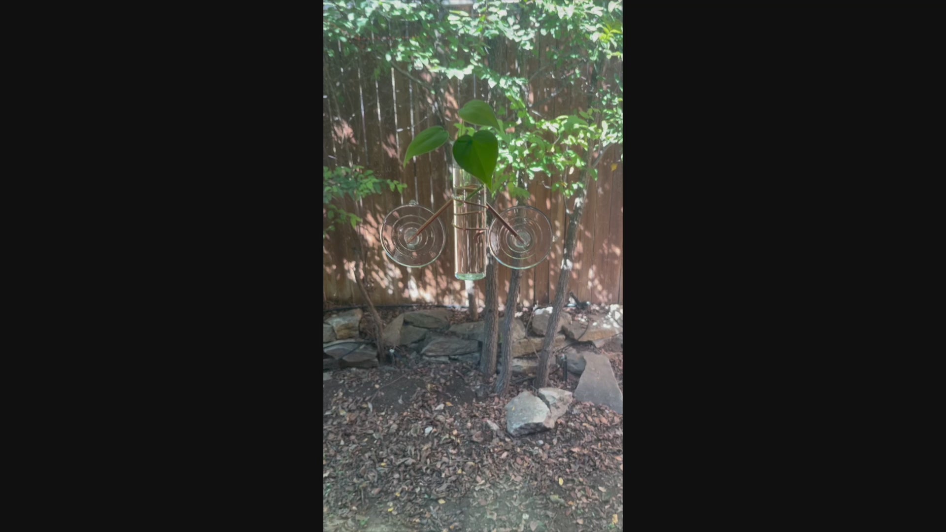 The Hazel Mini Window Plant Propagator