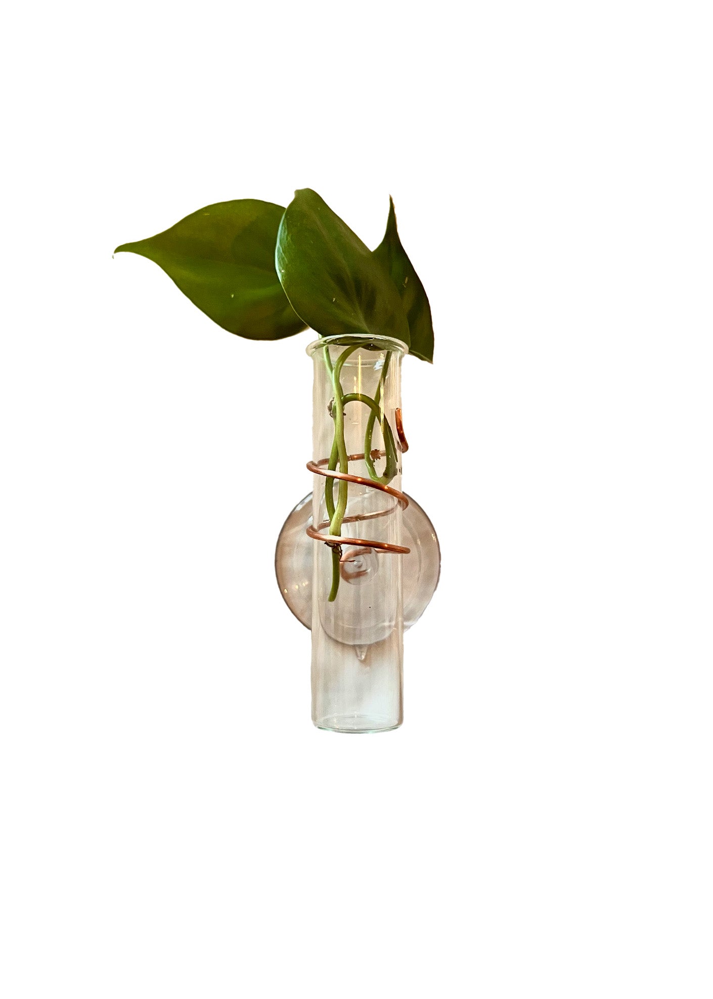 The Little Window Propagator (Three Bottles)