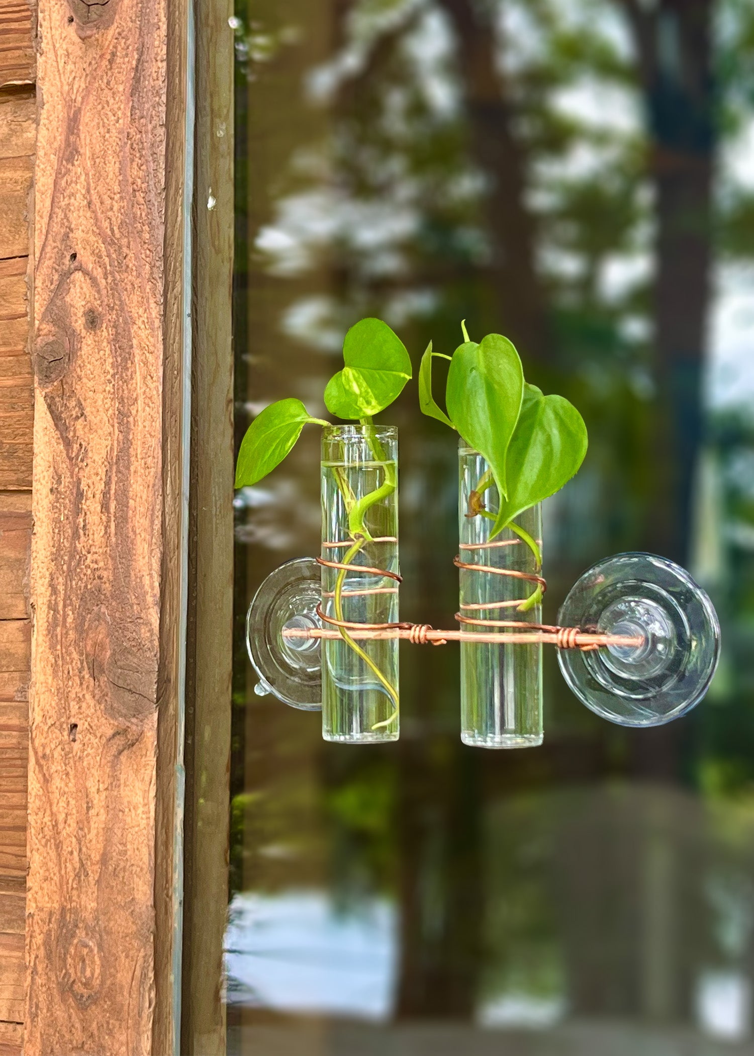 The Lily Window Propagator (Double Stem)