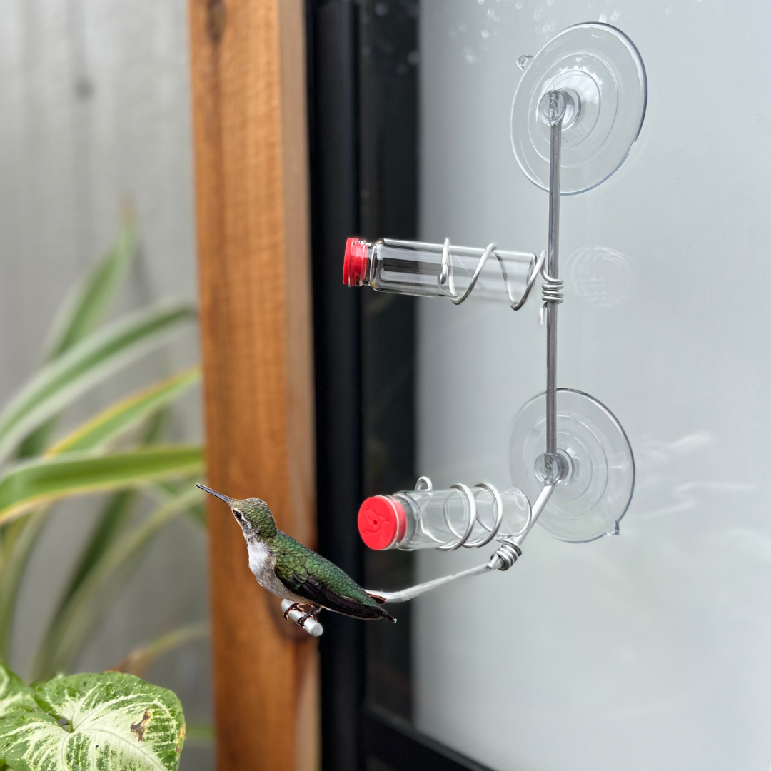 unique gift of window hummingbird feeder for outdoors 