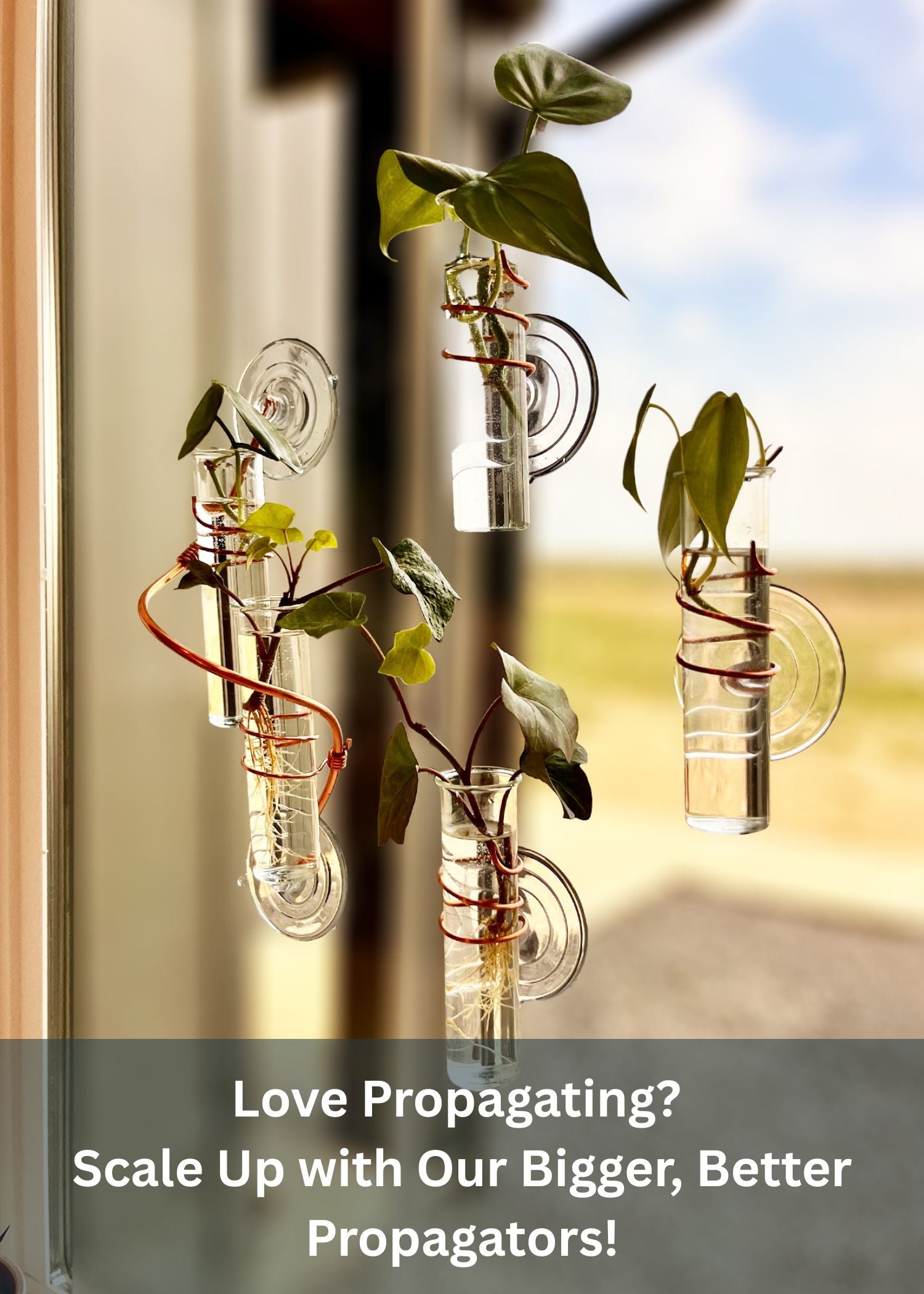 The Little Window Propagator (Three Bottles)