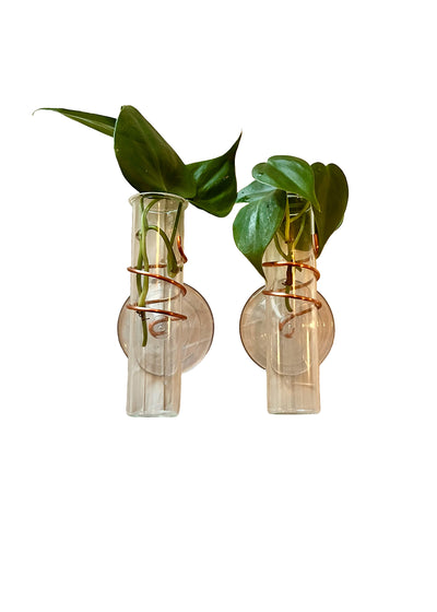 The Little Window Propagator (Three Bottles)
