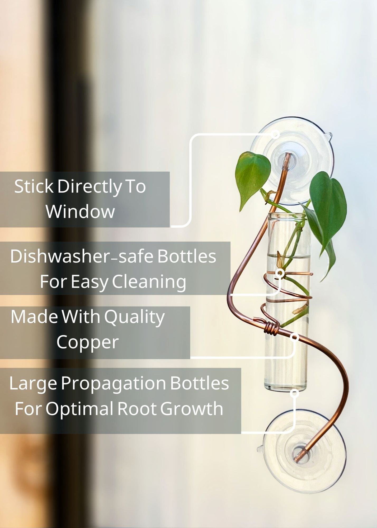 The Willow Window Plant Propagator (Single Stem)