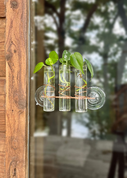 The Lily Window Propagator (Triple Stem)