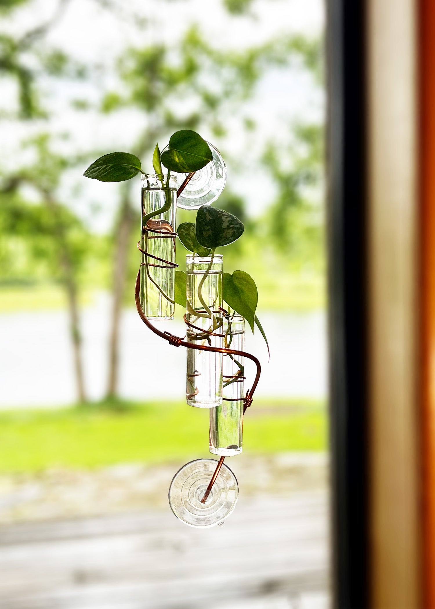 The Willow Window Plant Propagator (Triple Stem)