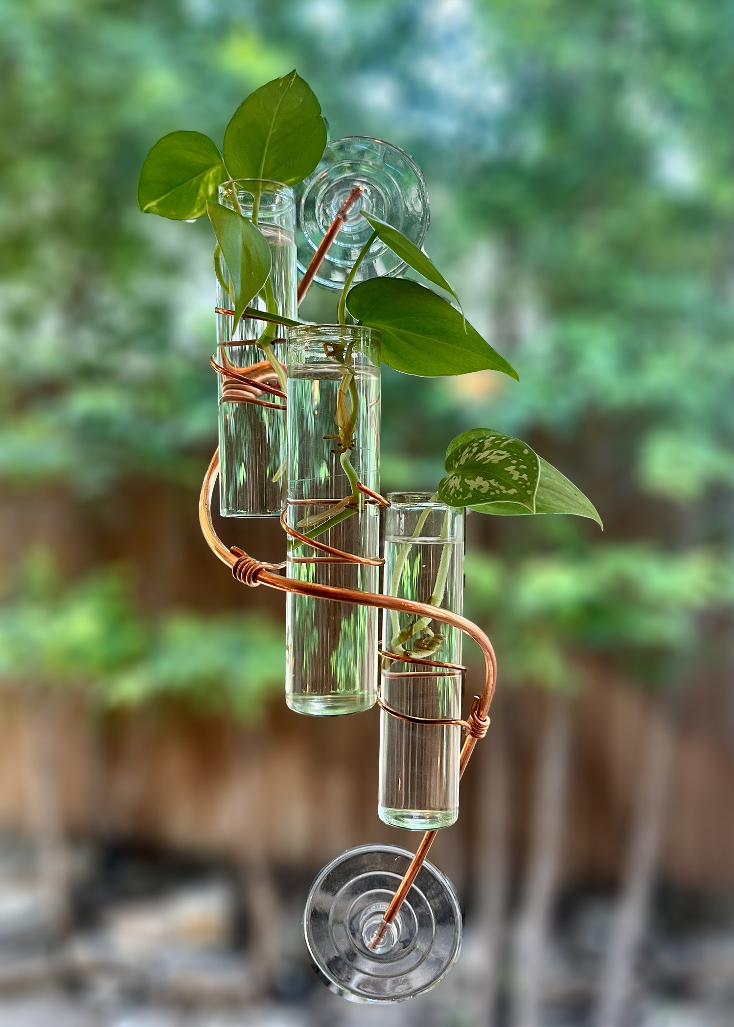 The Willow Window Plant Propagator (Triple Stem)