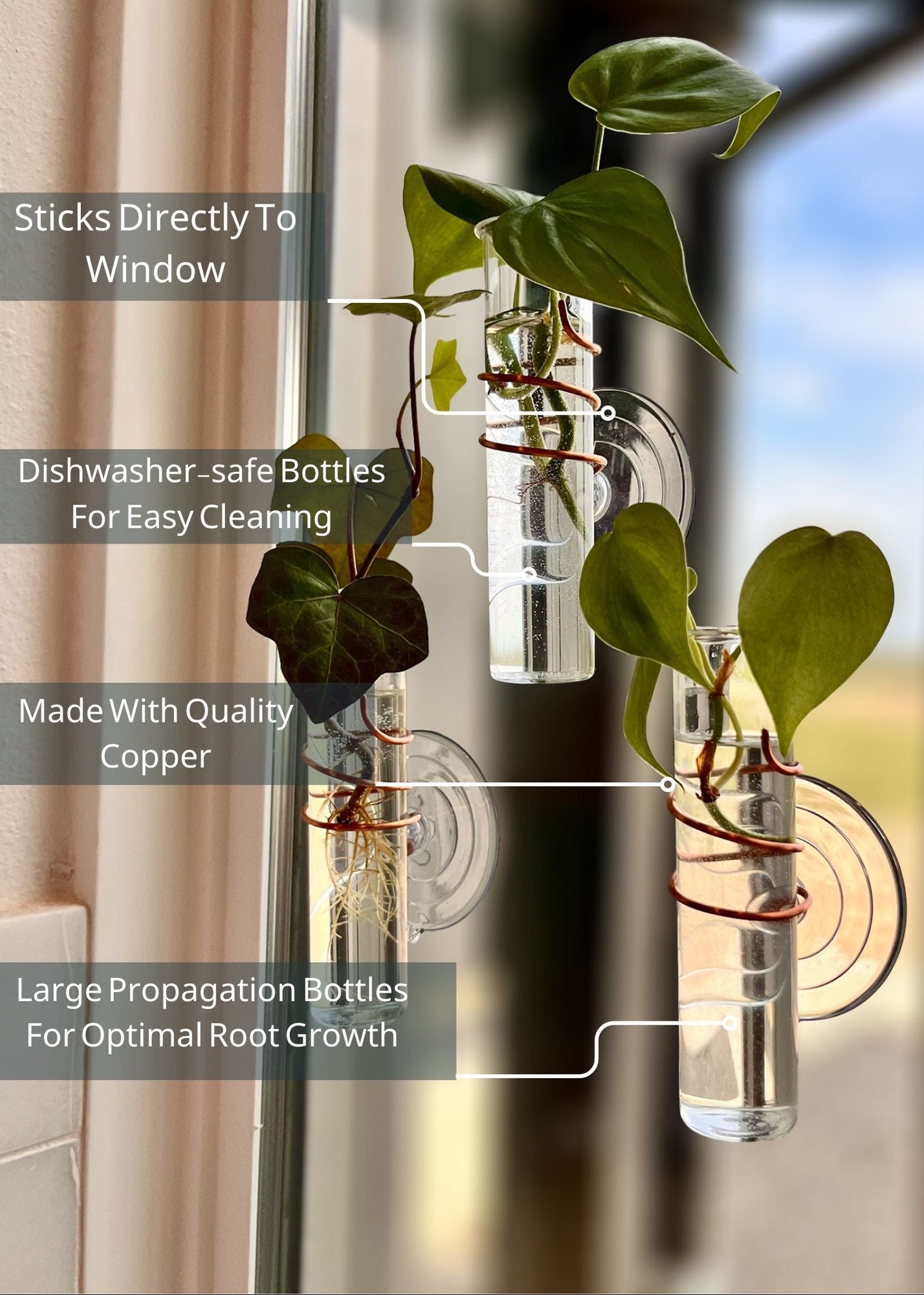 The Little Window Propagator (Three Bottles)