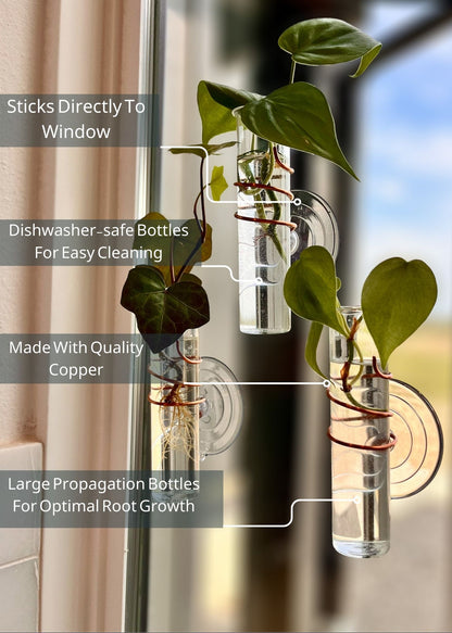 The Little Window Propagator (Three Bottles)
