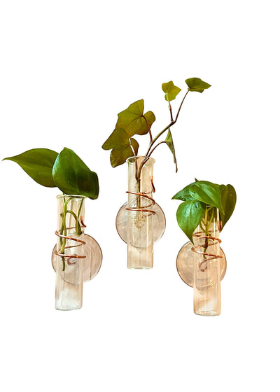 The Little Window Propagator (Three Bottles)